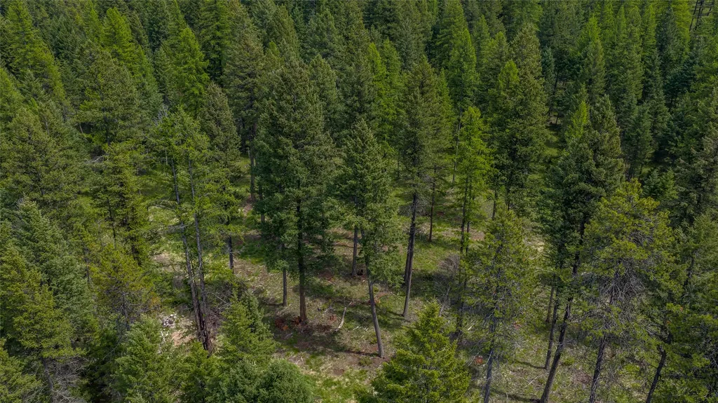 180 Squirrel Lane Whitefish MT 59937