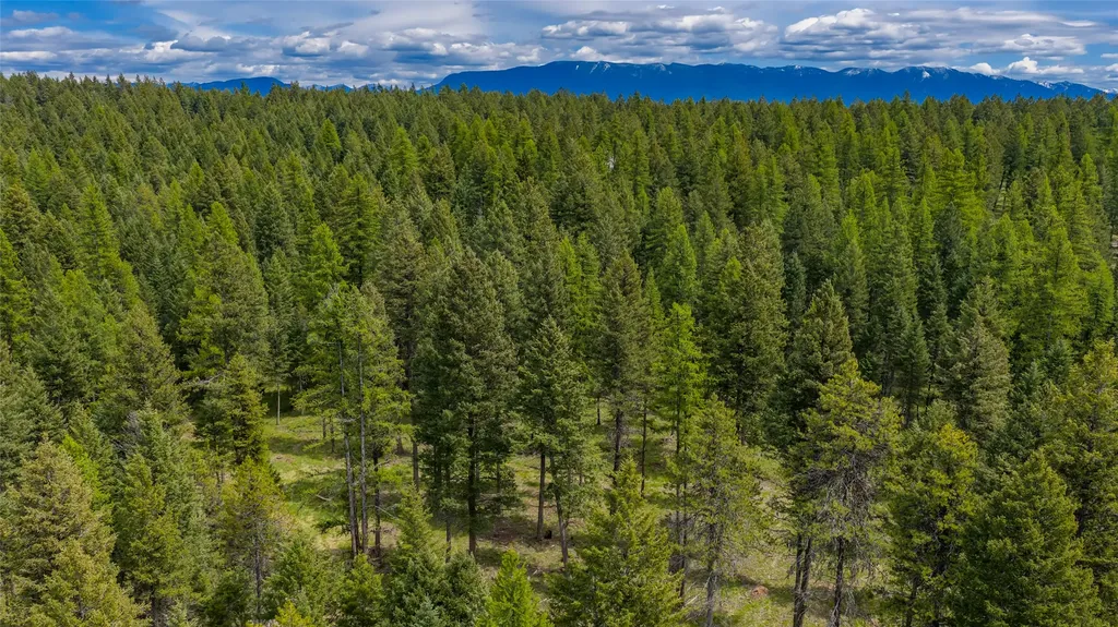 180 Squirrel Lane Whitefish MT 59937