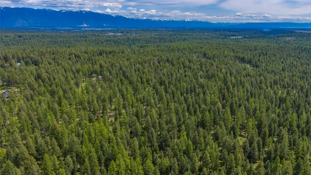 180 Squirrel Lane Whitefish MT 59937