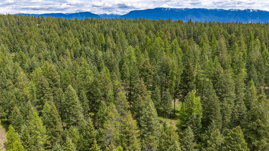 180 Squirrel Lane Whitefish MT 59937