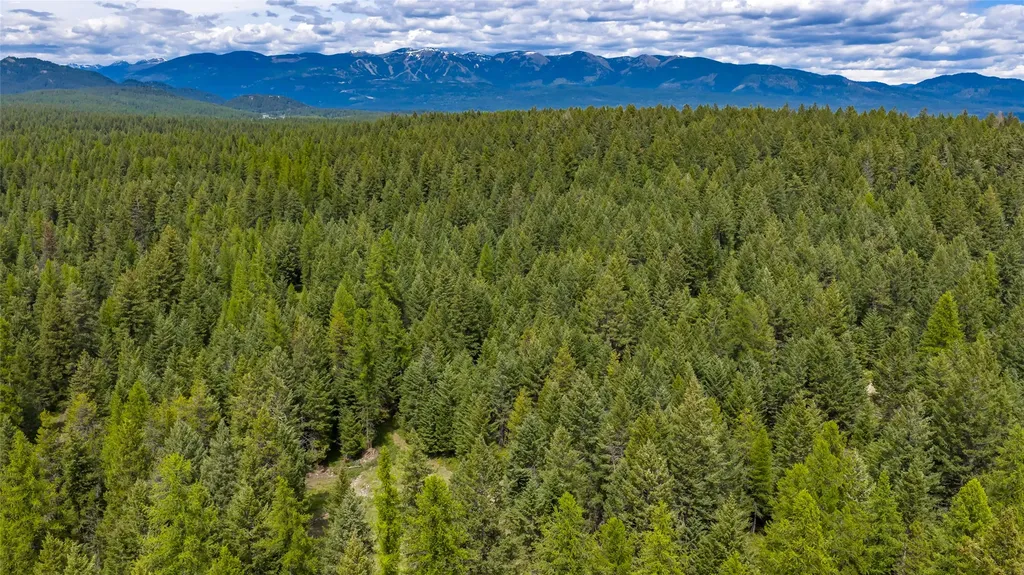 180 Squirrel Lane Whitefish MT 59937