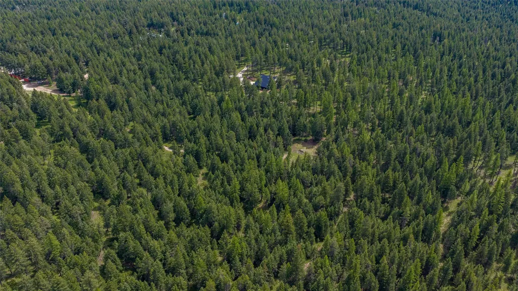 180 Squirrel Lane Whitefish MT 59937