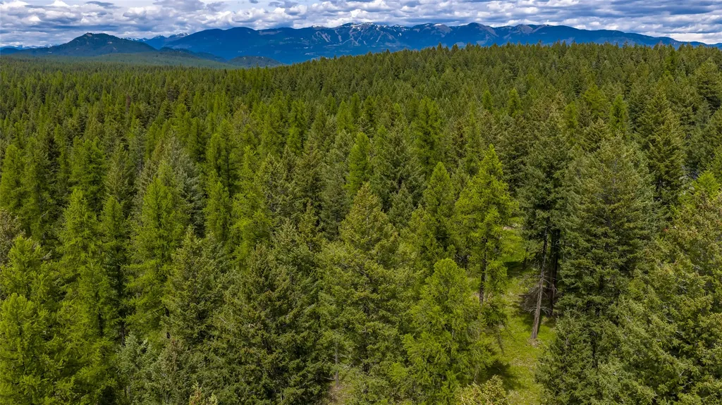 180 Squirrel Lane Whitefish MT 59937