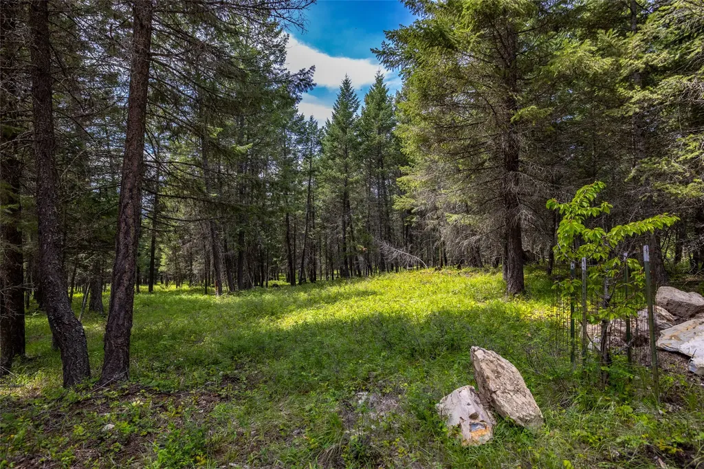180 Squirrel Lane Whitefish MT 59937