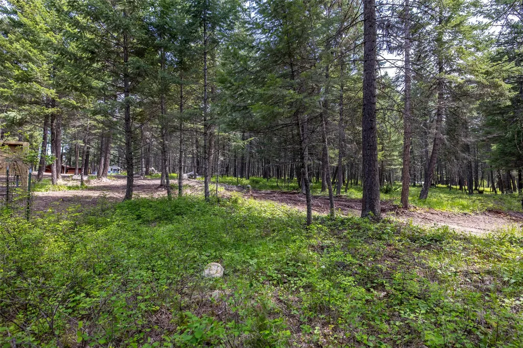 180 Squirrel Lane Whitefish MT 59937