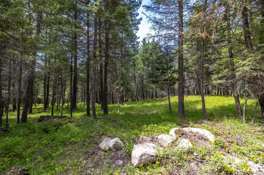 180 Squirrel Lane Whitefish MT 59937