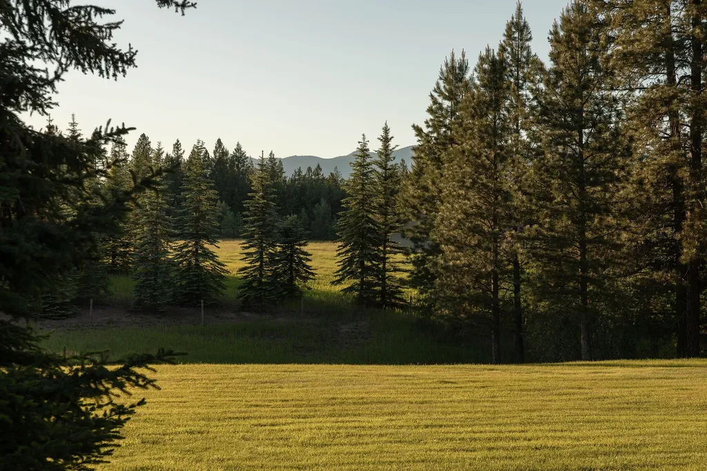 979 Hodgson Road Columbia Falls MT 59912