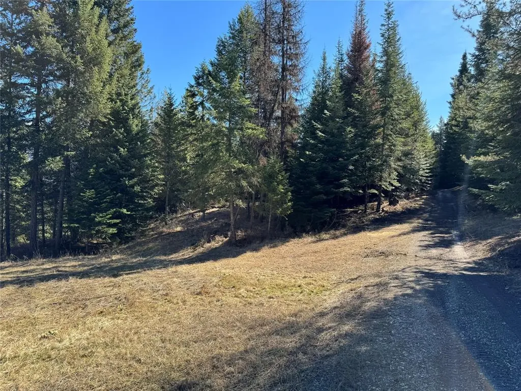 1 Guy Hall Road Trout Creek MT 59874