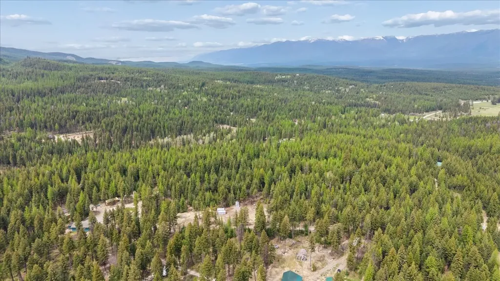 352 Whitetail Meadow Road Fortine MT 59918