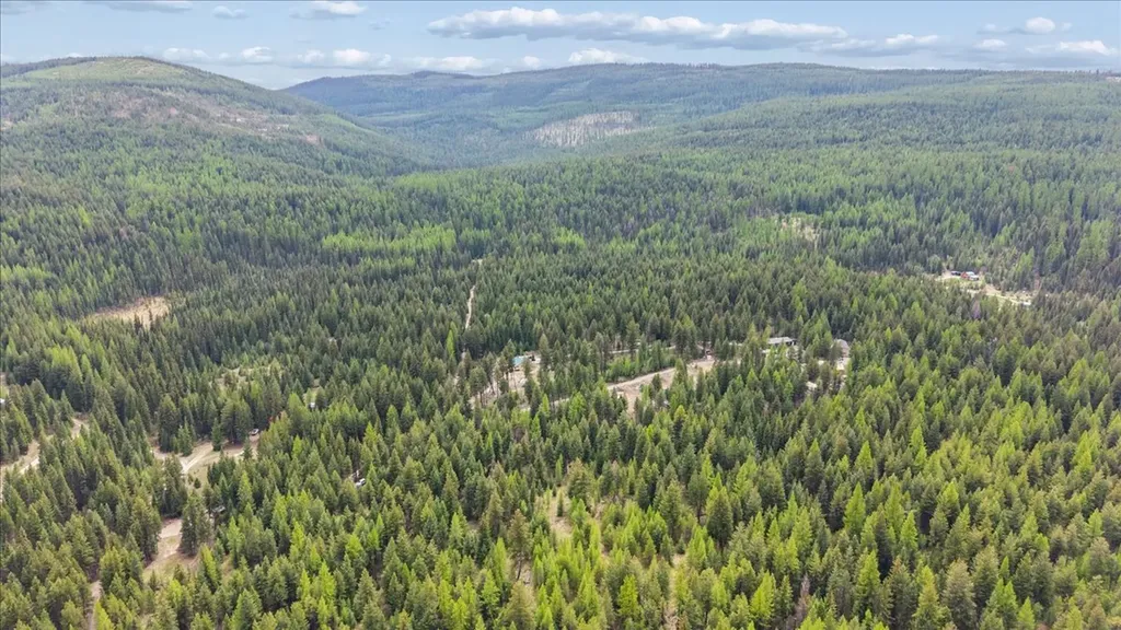 352 Whitetail Meadow Road Fortine MT 59918