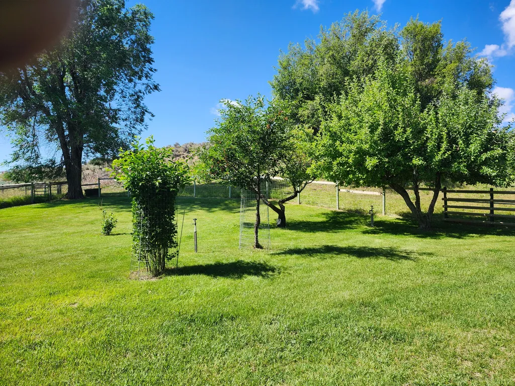 Whitehall MT 59759