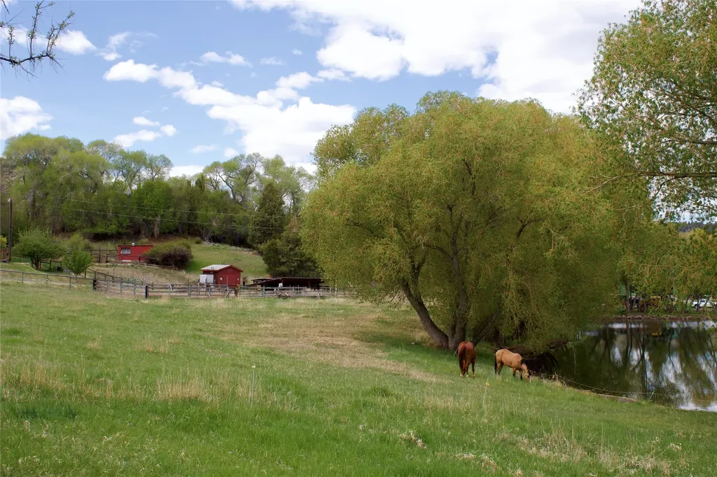 Whitehall MT 59759