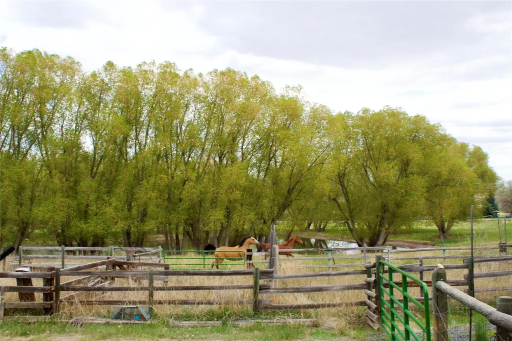 Whitehall MT 59759