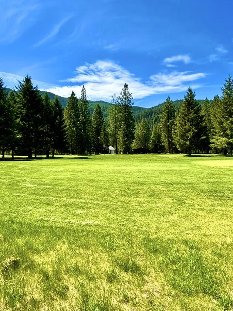 Lot 7 Fairview Drive St Regis MT 59866