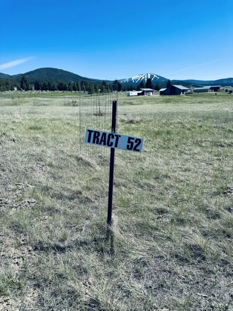 Whiskey Flats Stevie Lane/s. Sunbear Drive Philipsburg MT 59858