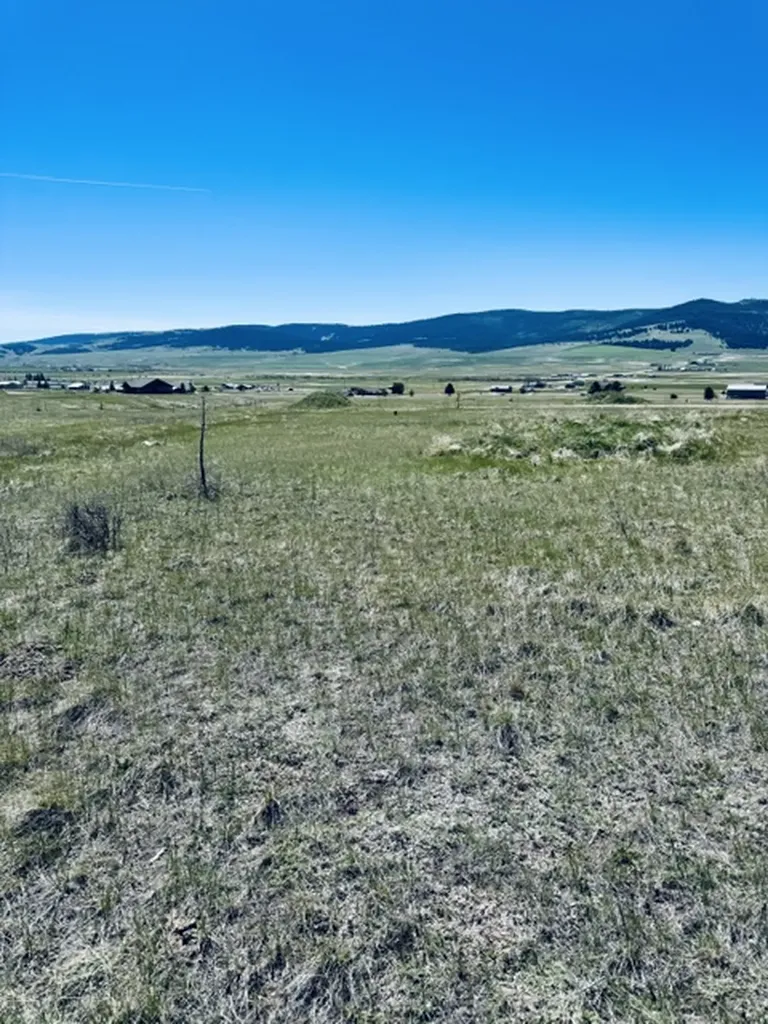 Whiskey Flats Stevie Lane/s. Sunbear Drive Philipsburg MT 59858
