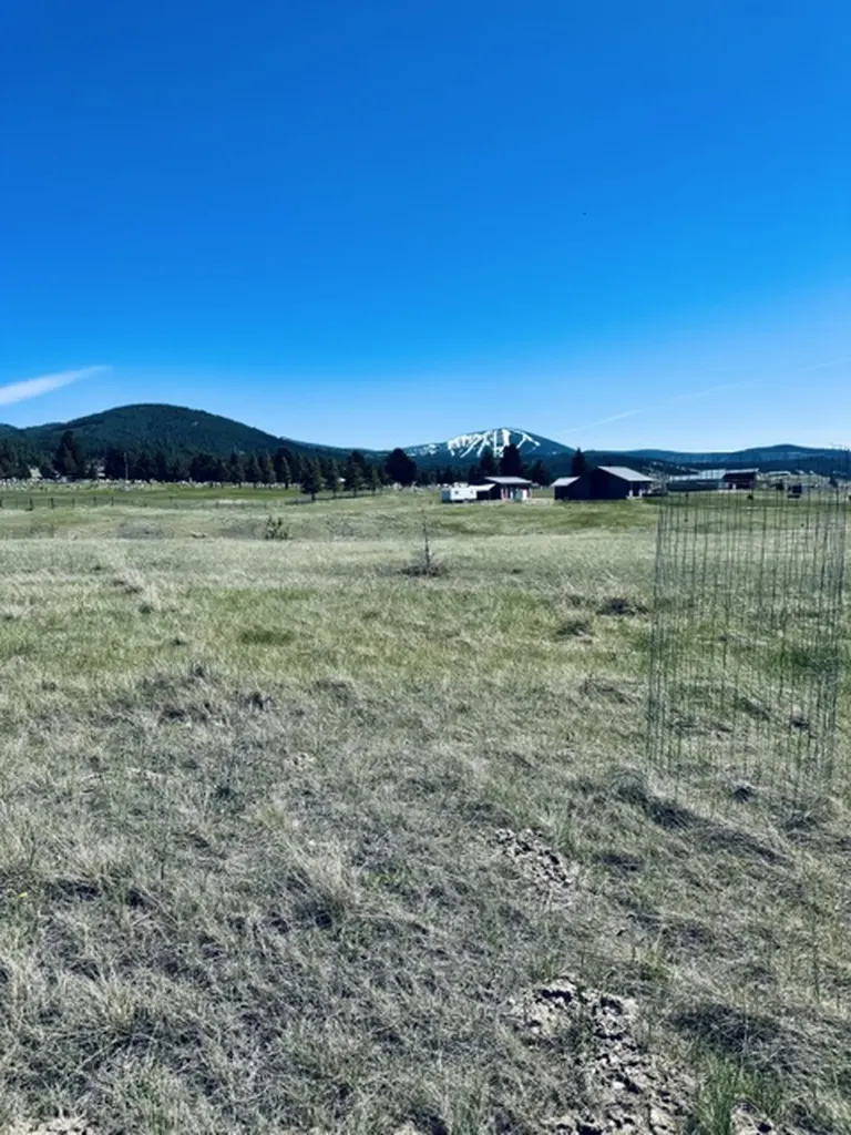 Whiskey Flats Stevie Lane/s. Sunbear Drive Philipsburg MT 59858