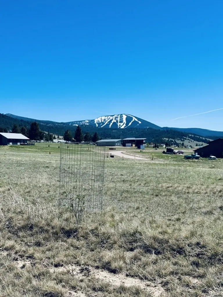 Whiskey Flats Stevie Lane/s. Sunbear Drive Philipsburg MT 59858