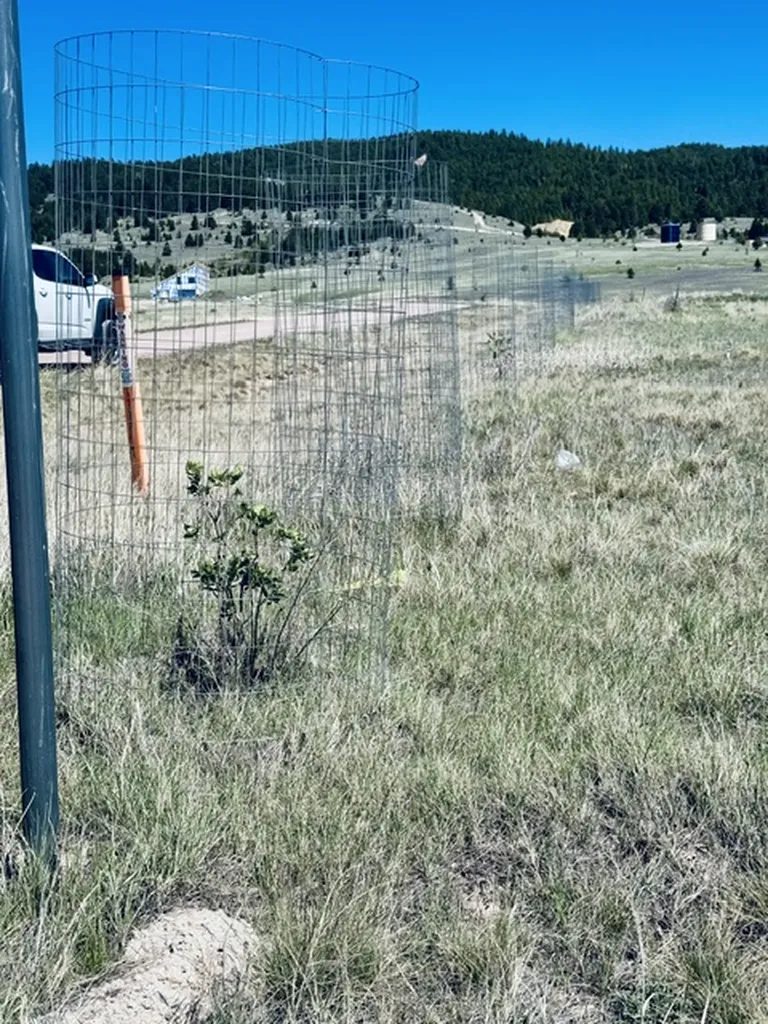 Whiskey Flats Stevie Lane/s. Sunbear Drive Philipsburg MT 59858
