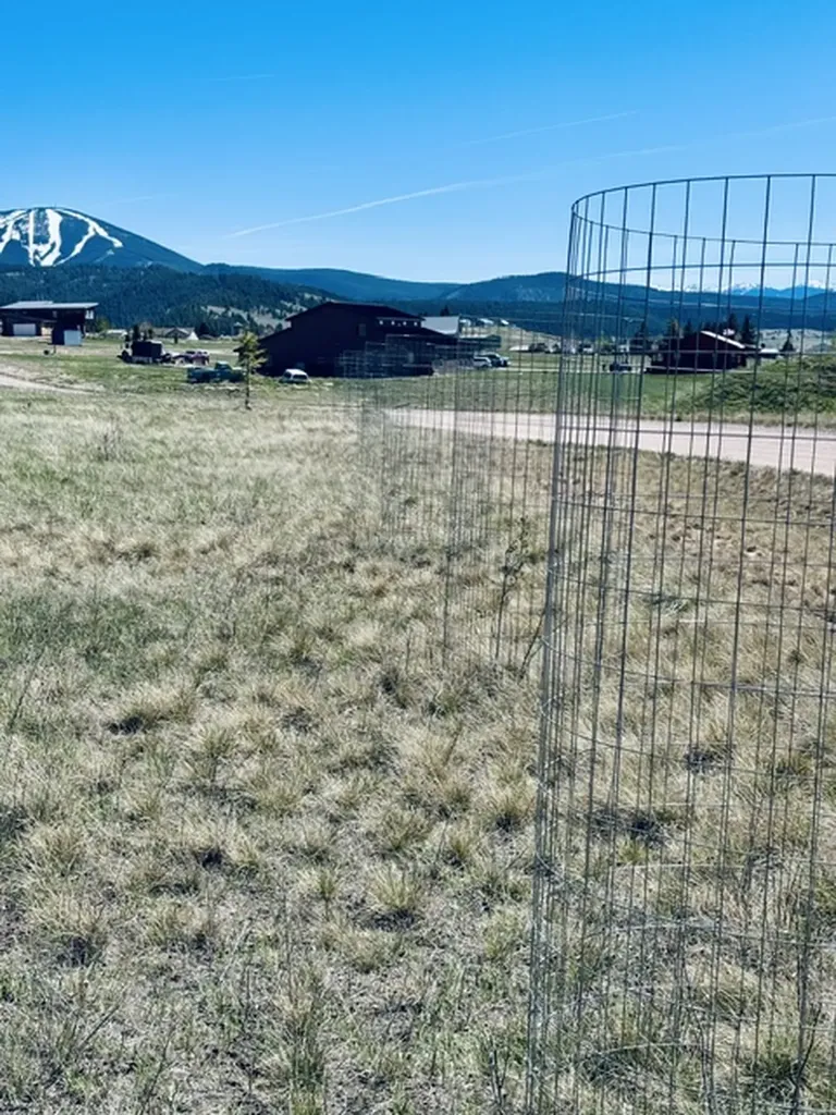 Whiskey Flats Stevie Lane/s. Sunbear Drive Philipsburg MT 59858