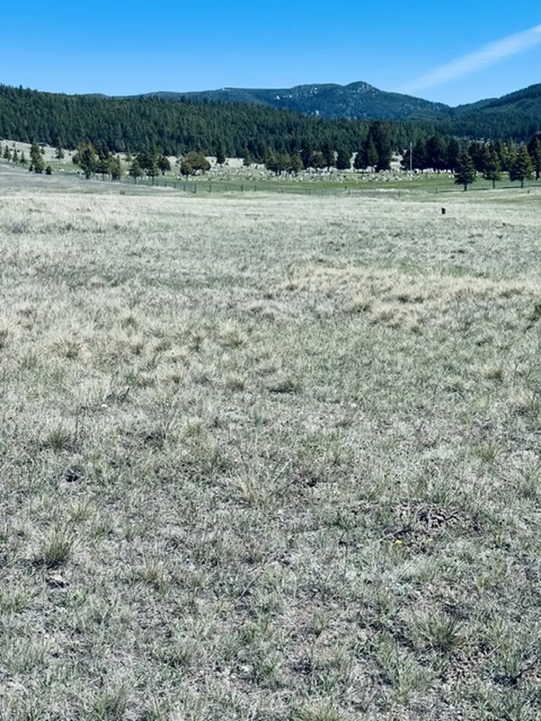 Whiskey Flats Stevie Lane/s. Sunbear Drive Philipsburg MT 59858