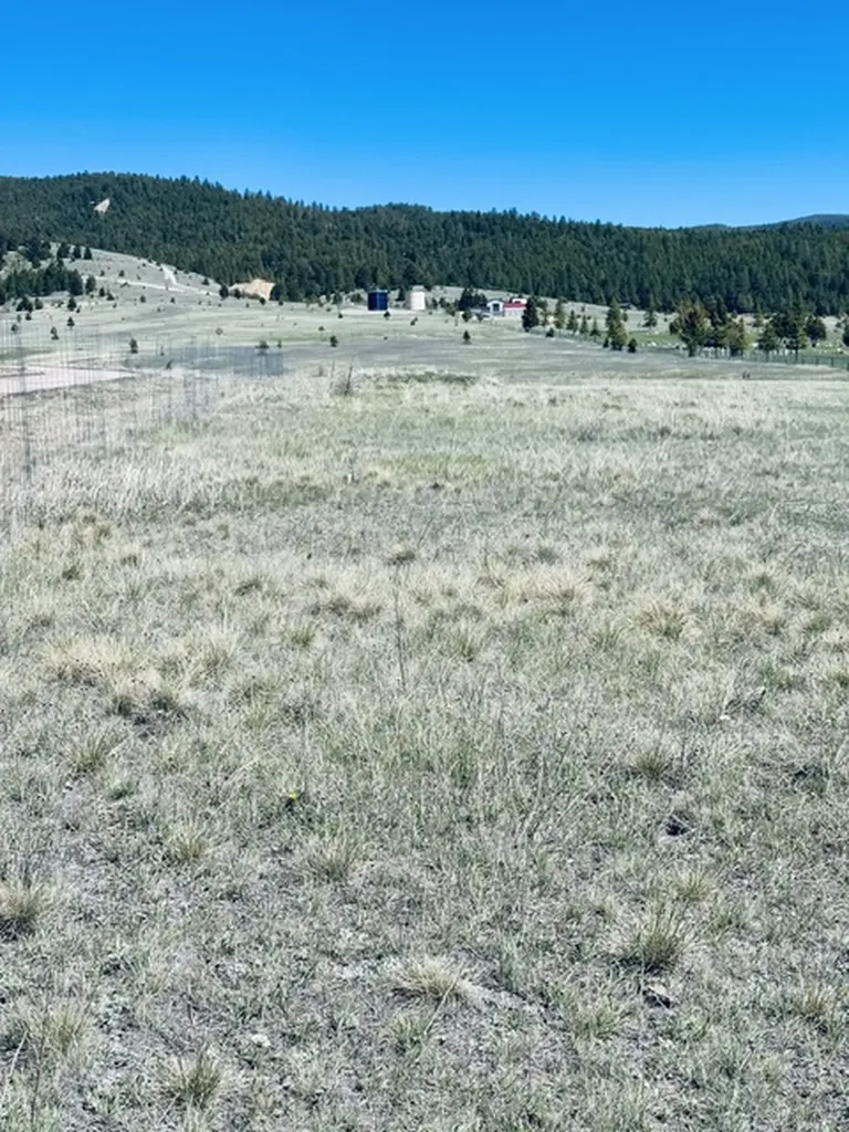 Whiskey Flats Stevie Lane/s. Sunbear Drive Philipsburg MT 59858