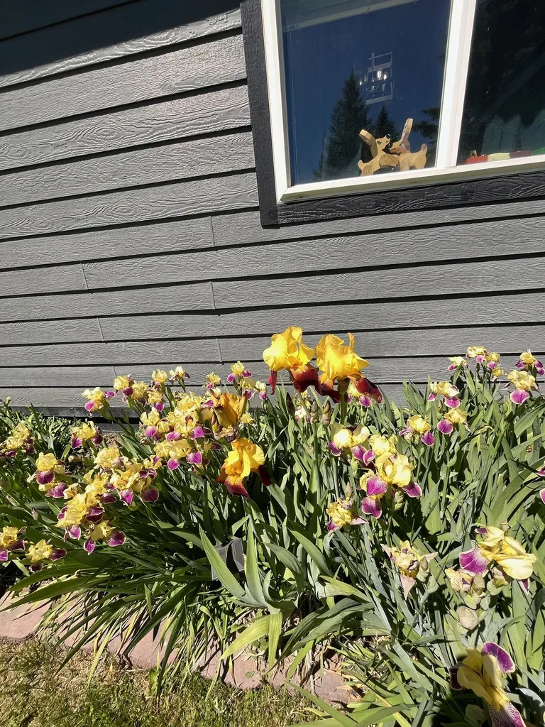 4050 Remington Street East Helena MT 59635