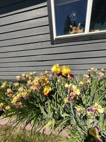 4050 Remington Street East Helena MT 59635