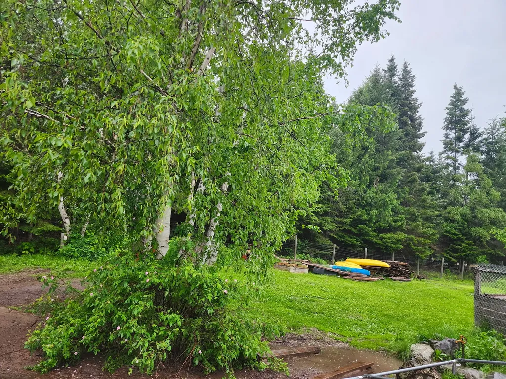 13376 Bug Creek Road Bigfork MT 59911
