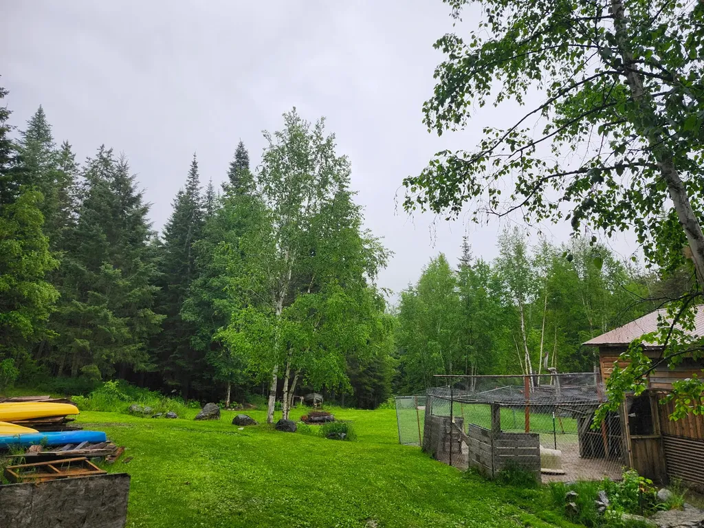 13376 Bug Creek Road Bigfork MT 59911