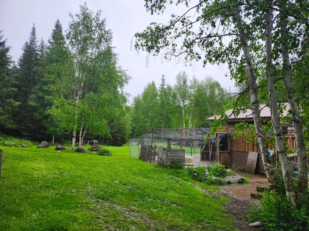 13376 Bug Creek Road Bigfork MT 59911