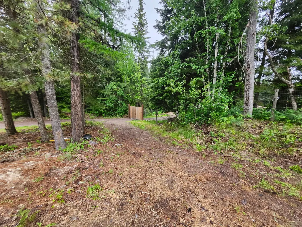 13376 Bug Creek Road Bigfork MT 59911