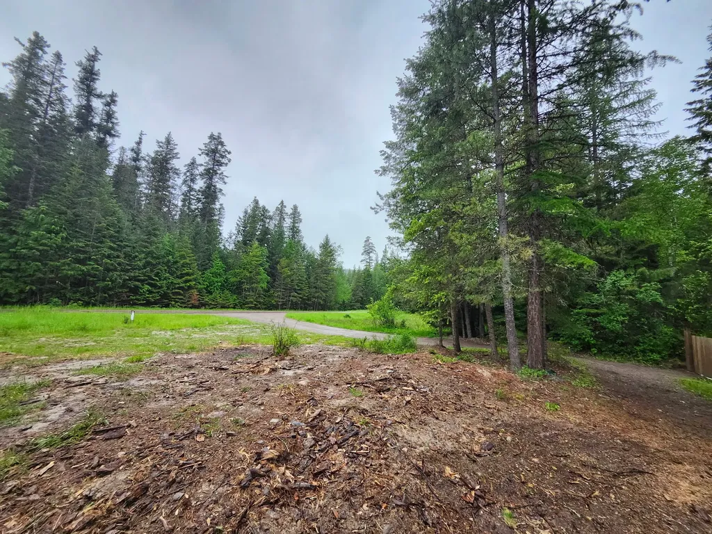 13376 Bug Creek Road Bigfork MT 59911