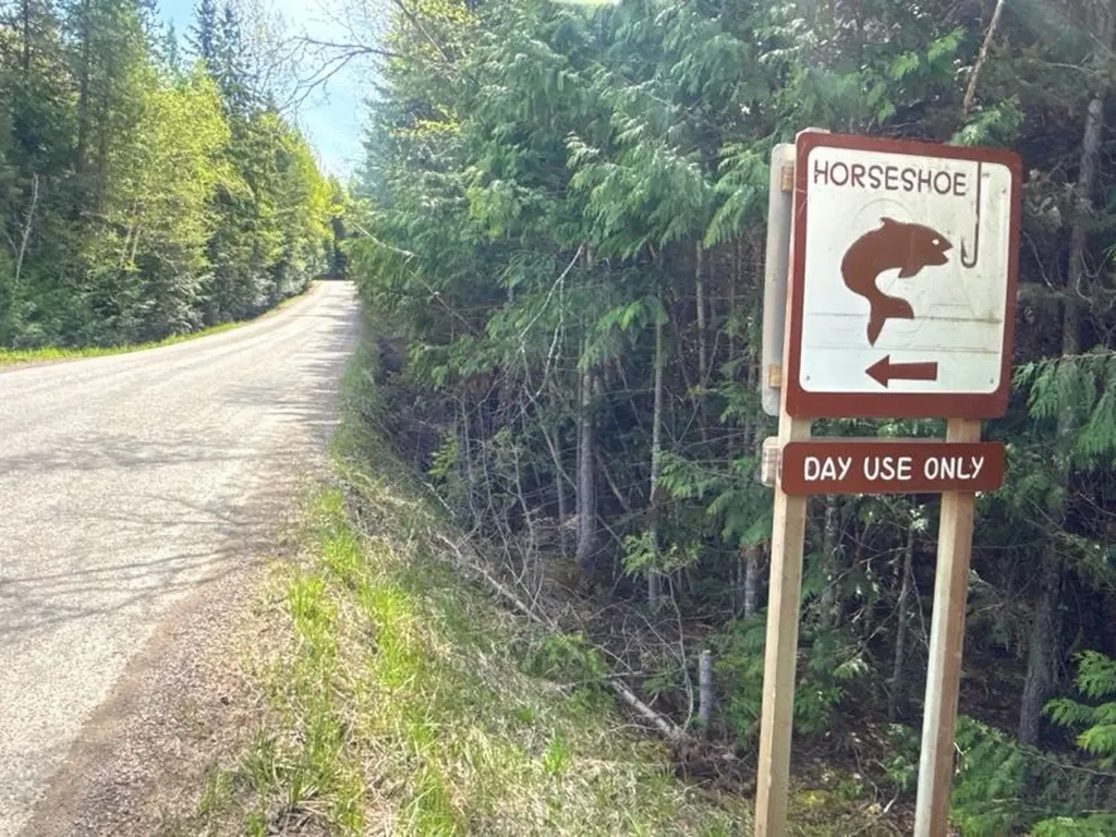13376 Bug Creek Road Bigfork MT 59911