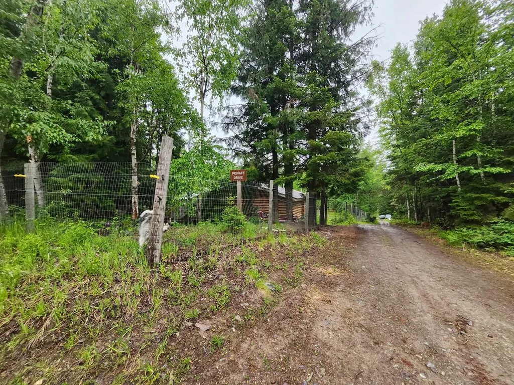 13376 Bug Creek Road Bigfork MT 59911