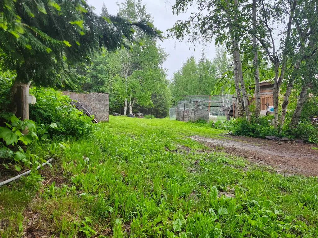 13376 Bug Creek Road Bigfork MT 59911