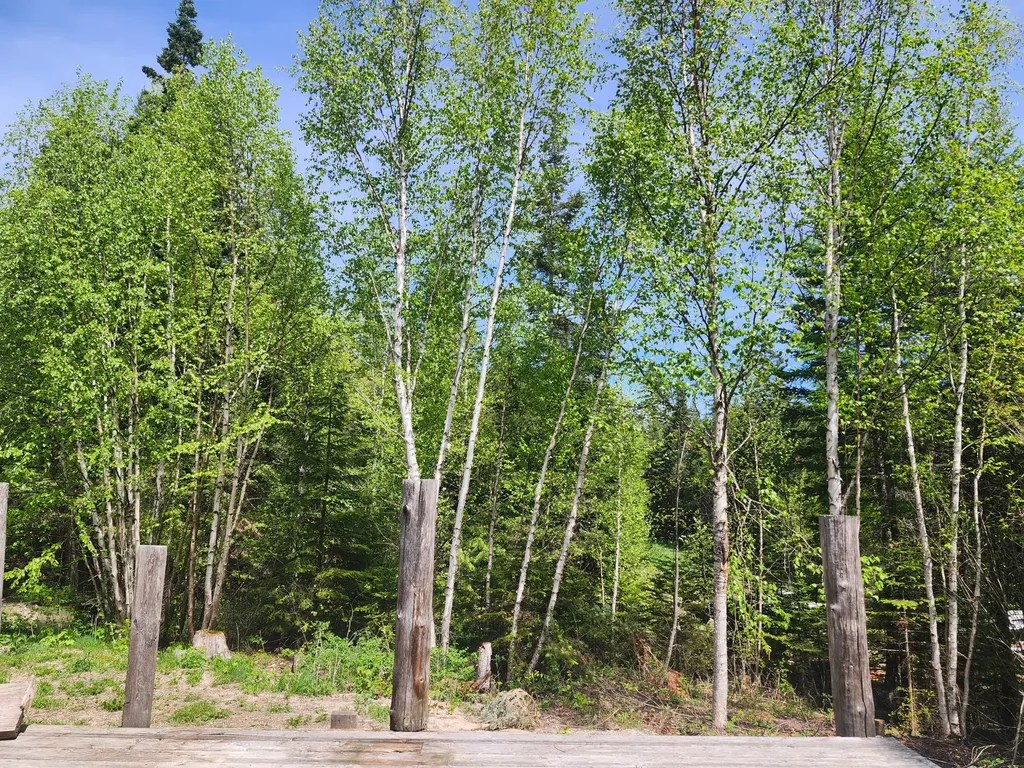 13376 Bug Creek Road Bigfork MT 59911