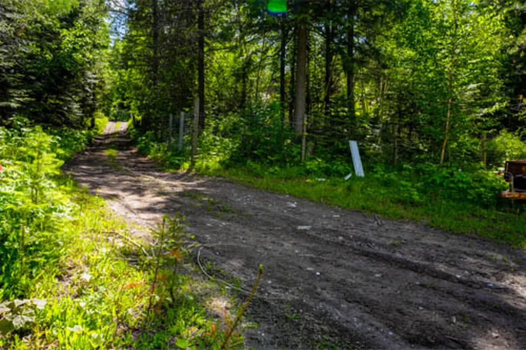 13376 Bug Creek Road Bigfork MT 59911
