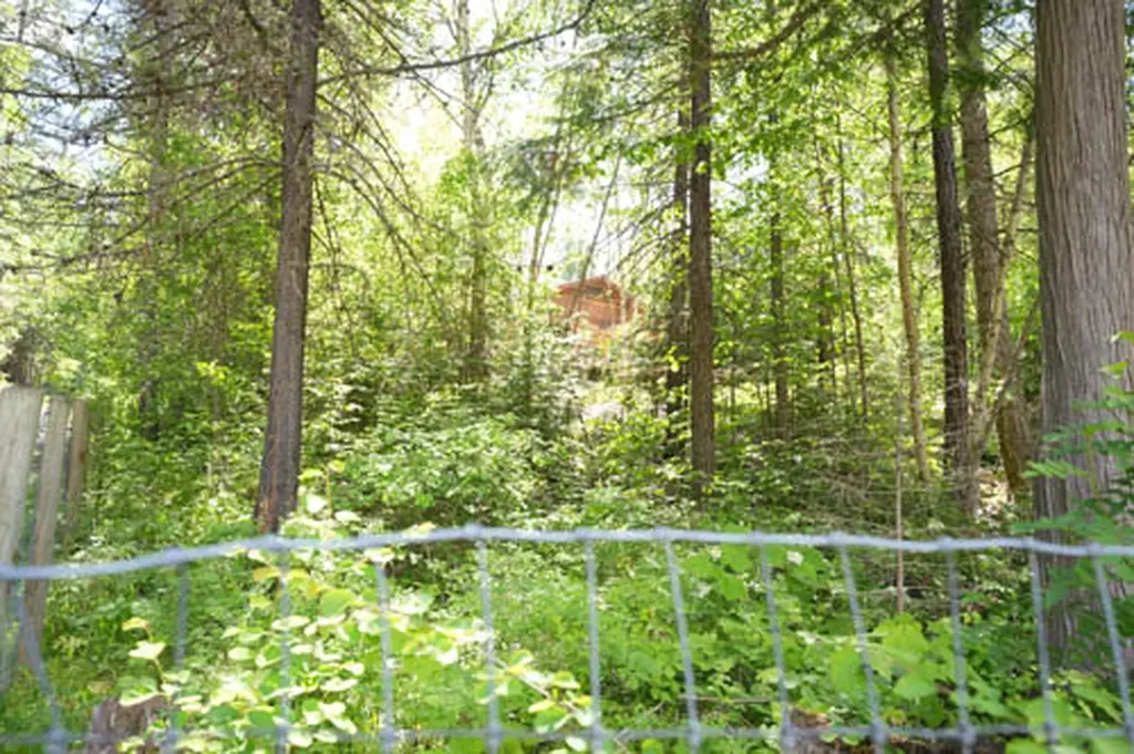 13376 Bug Creek Road Bigfork MT 59911