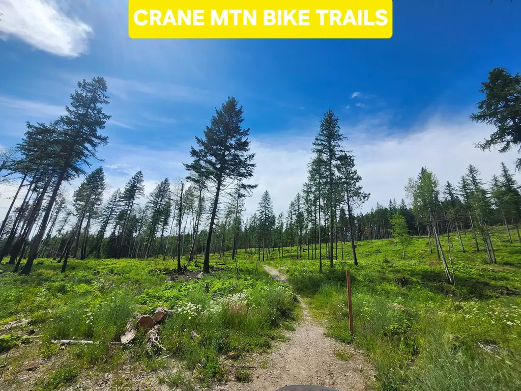 13376 Bug Creek Road Bigfork MT 59911