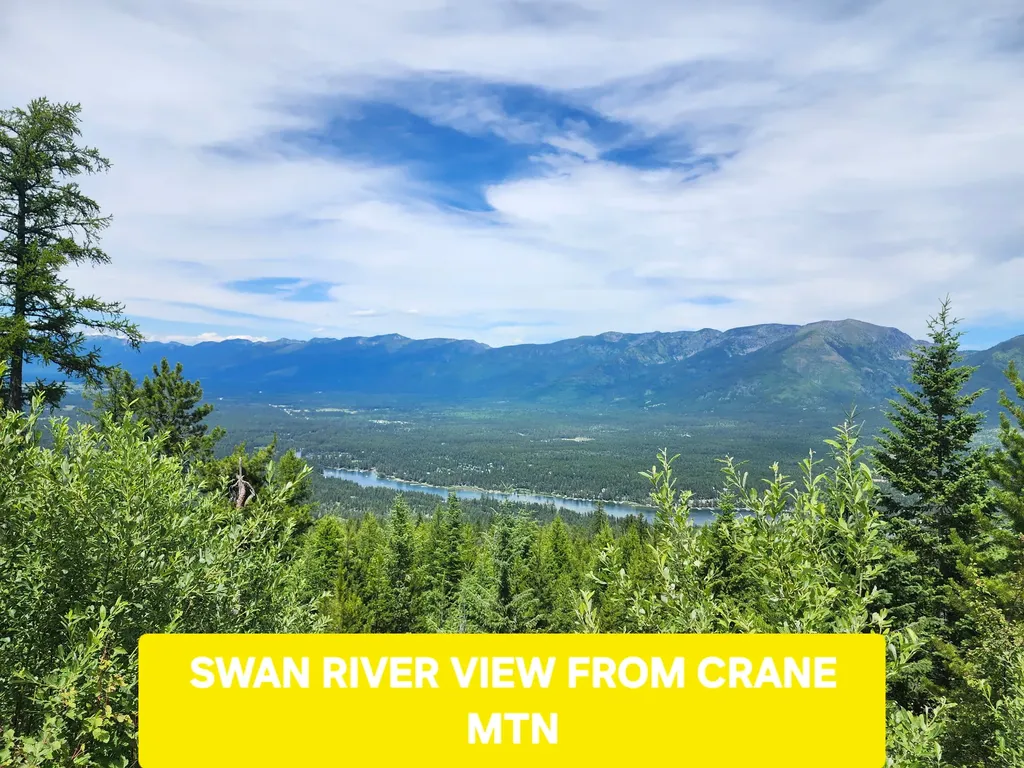 13376 Bug Creek Road Bigfork MT 59911