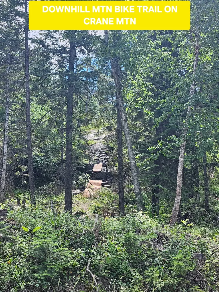 13376 Bug Creek Road Bigfork MT 59911