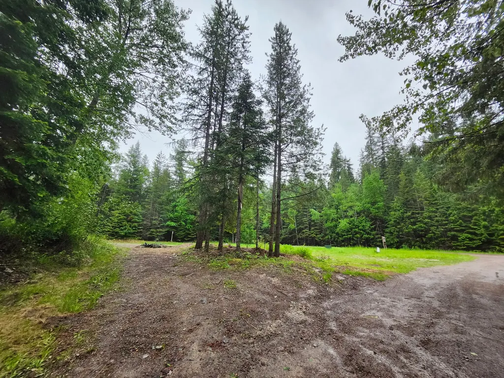 13376 Bug Creek Road Bigfork MT 59911