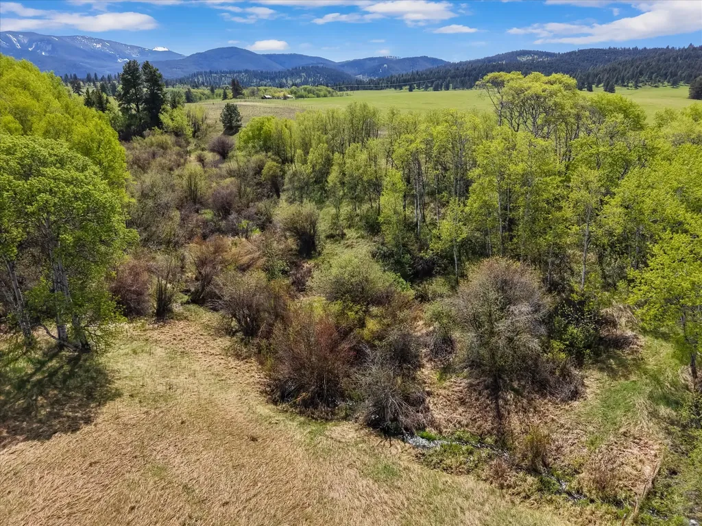 2553 S Mullan Trail Road Gold Creek MT 59733