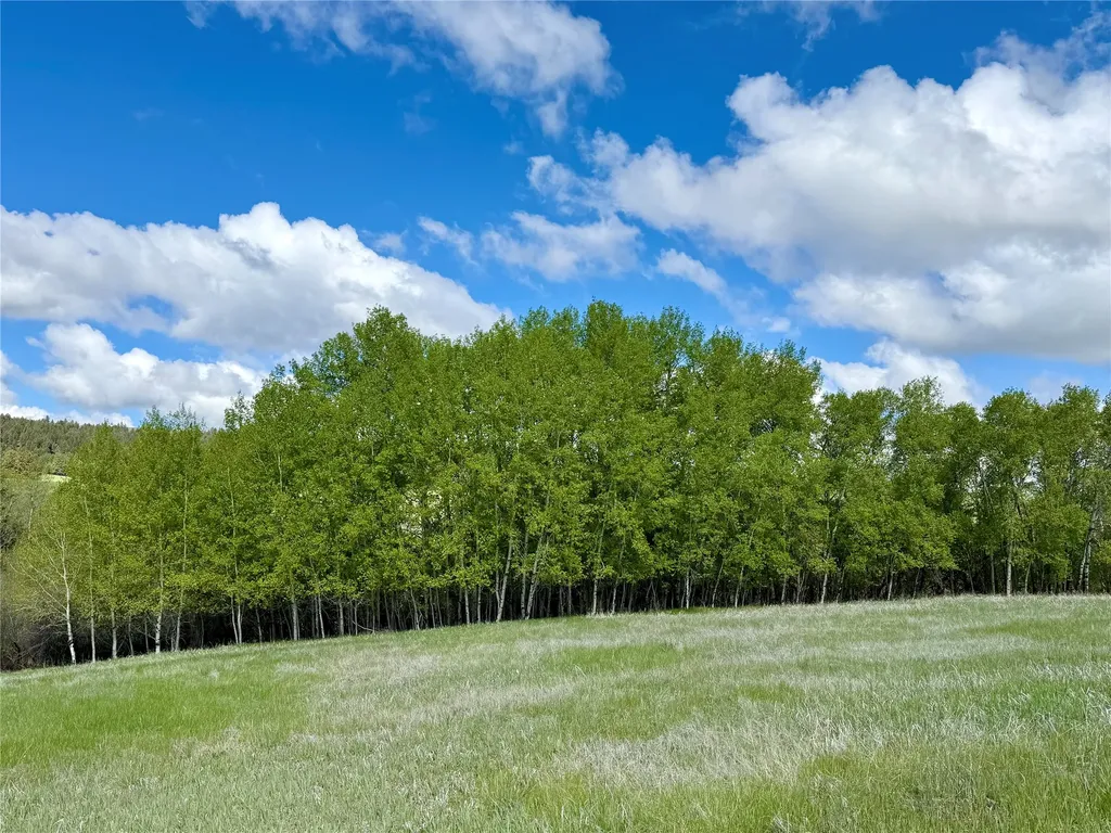 2553 S Mullan Trail Road Gold Creek MT 59733