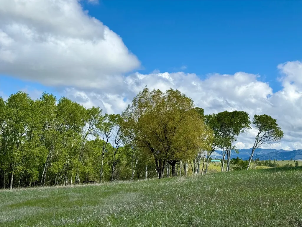 2553 S Mullan Trail Road Gold Creek MT 59733