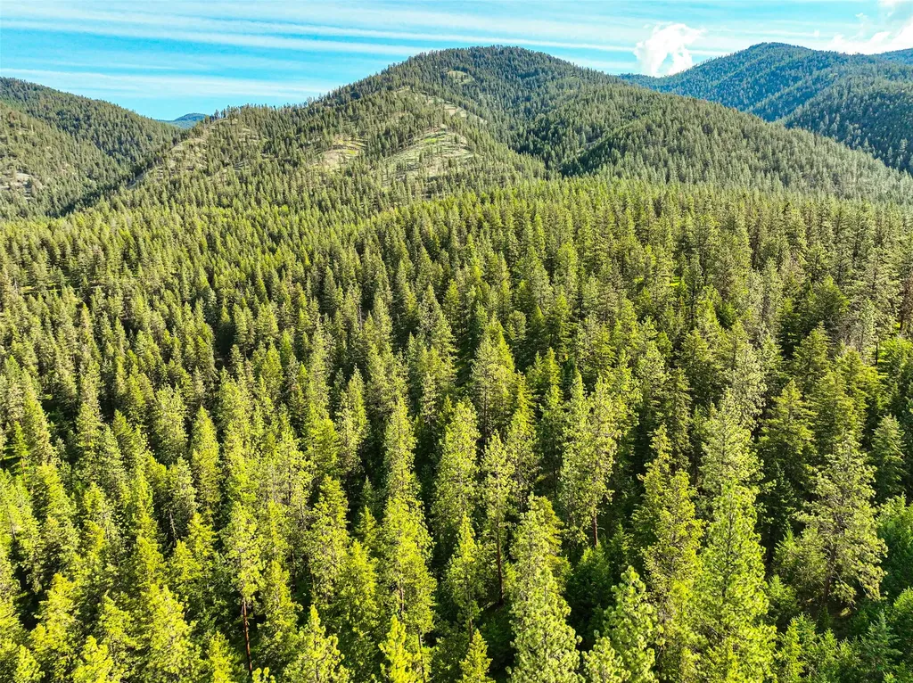 Nhn Nighthawk Drive Frenchtown MT 59834
