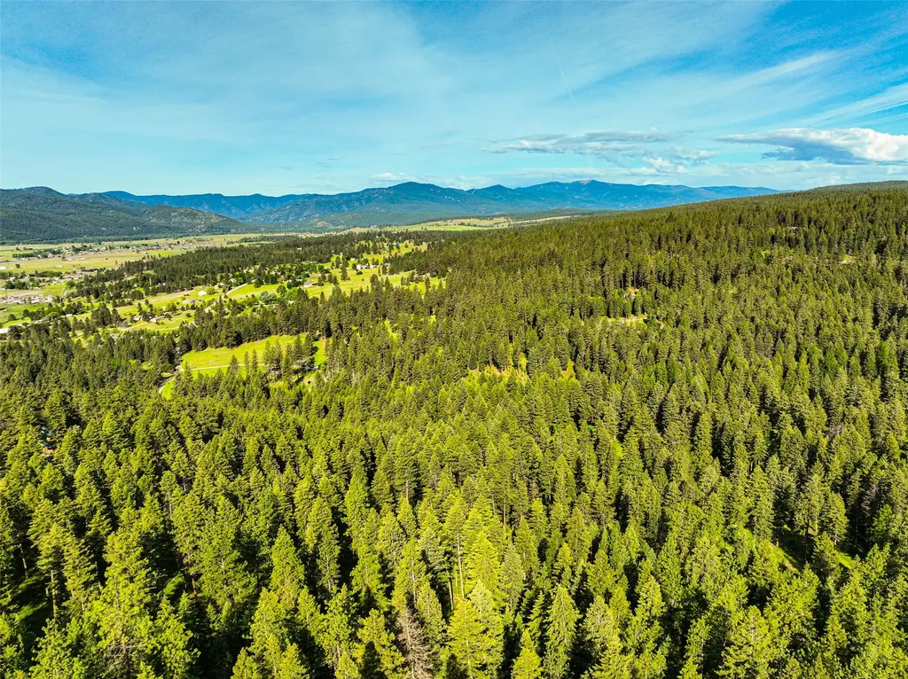 Nhn Nighthawk Drive Frenchtown MT 59834