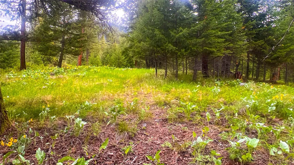 Nhn Nighthawk Drive Frenchtown MT 59834
