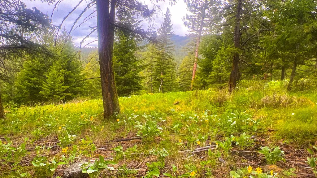 Nhn Nighthawk Drive Frenchtown MT 59834